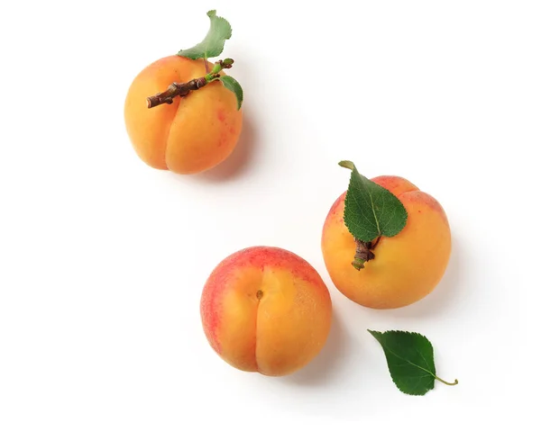 Apricots with green leaves under insulation