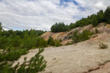 Tepelerde ve dağlarda bir sürü yeşil ağaç