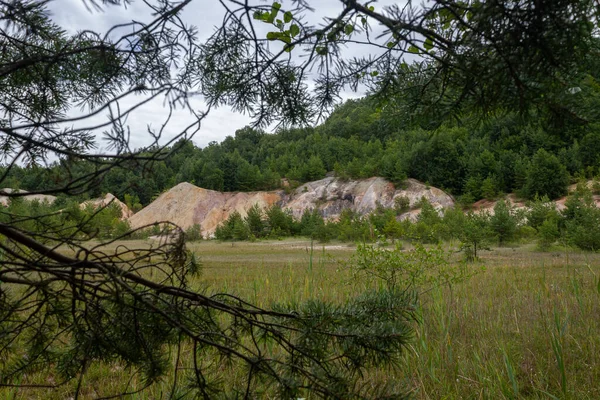 Muchos Árboles Verdes Las Colinas Montañas — Foto de Stock