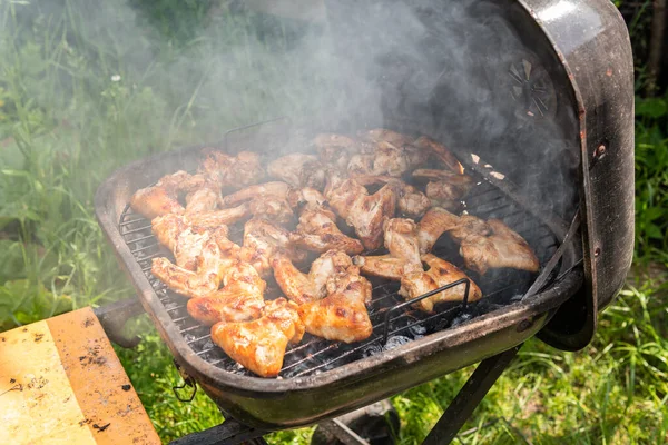 Monte Saboroso Delicioso Saboroso Atender Asas Frango Com Odor Agradável — Fotografia de Stock