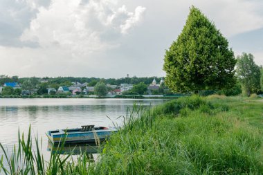 Güzel büyük ve yeşil bir ıhlamur ağacı (basswood, ıhlamur) eski bir tekne ile göl kenarında