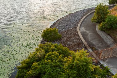 Gün batımının güzel bir yansıması olan nehir ve yeşil çalıları olan taşlı plaj.