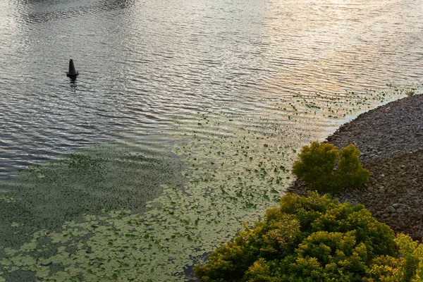 Flod Med Vacker Reflektion Solnedgång Och Stenig Strand Med Gröna — Stockfoto