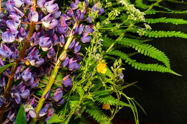 Yaz ortası temalı çiçekler. Eğreltiotu, lupin ve diğer çayır çiçekleri. Koyu, karamsar tonlar