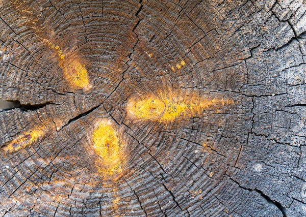 Holzuntergrund. Natürliche Holzstruktur. Braunes altes rustikales Holz als Hintergrund. Oberfläche aus geknüpftem Holz mit Muster. Die Jahresringe des Baumes. Querschnitt des Baumstammes zeigt Alter des Baumes — Stockfoto