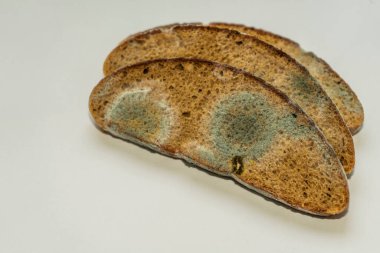 Beyaz ve siyah küflü bir parça çavdar ekmeği.