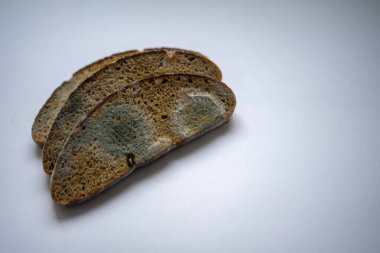 Beyaz ve siyah küfle kaplı üç parça çavdar ekmeği.