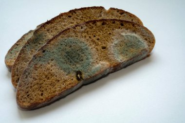 Küfle kaplı çavdar ekmeği dilimleri