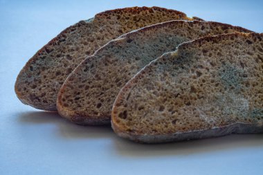 Üç parça küflü çavdar ekmeği. Ekmeğin bozulması.