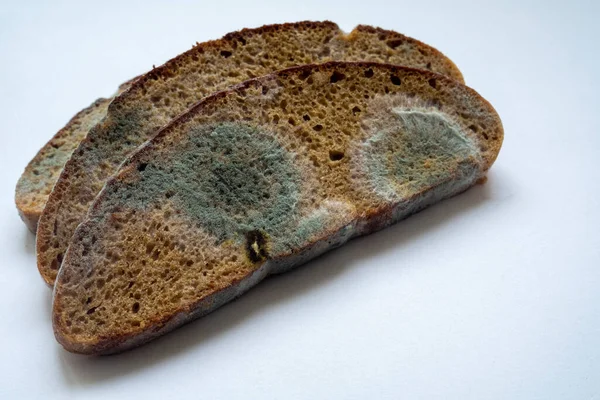 Roti gandum dilapisi dengan jamur — Stok Foto