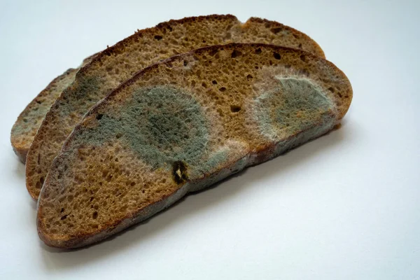 Plasterki chleba żytniego pokryte pleśnią — Zdjęcie stockowe