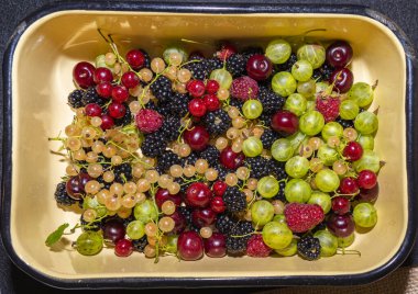 Taze toplanmış olgun meyveler: ahududu, böğürtlen, üzümler, üzümler, üzümler, vişne yakından. Sarı kasede böğürtlen karışımı.