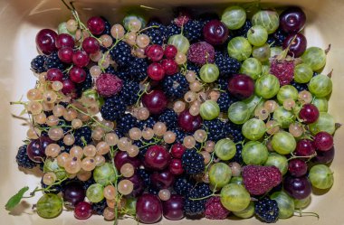 Taze toplanmış olgun meyveler: ahududu, böğürtlen, üzümler, üzümler, üzümler, vişne yakından. Böğürtlen karışımı..