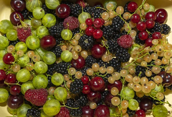 Freshly Picked Ripe Berries Raspberries Blackberries Gooseberries Currants Cherries Close — Stock Photo, Image