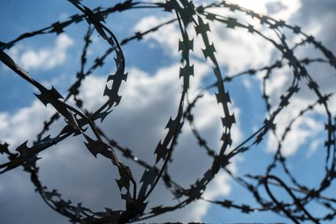 Mavi gökyüzüne ve bulutlara karşı dikenli tellerin müritleri.