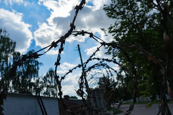 barbed wire on a concrete fence against a blue sky. Protected area.