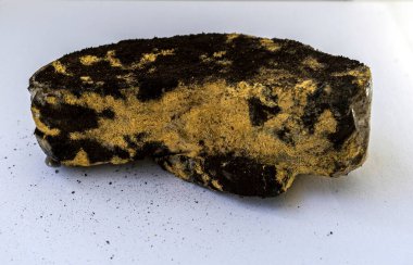 Siyah küf ve sporlarla kaplı ekmek parçaları. Yiyeceğin zina edilmesi