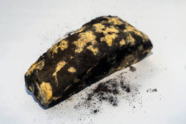 Siyah küfle kaplı ekmek. Küflü ekmek. Bozulmuş ekmek