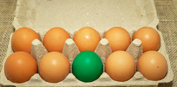 Chicken eggs in a cardboard container. One egg out of ten is colored green.