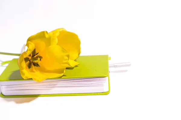 Yelow tulipán flores están en la mesa blanca y diario con la pluma vista superior — Foto de Stock