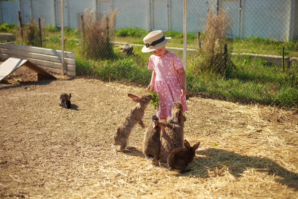 Kleines Mädchen spielt mit Kaninchen an einem sonnigen Sommer- oder Frühlingstag bei Sonnenuntergang. — Stockfoto