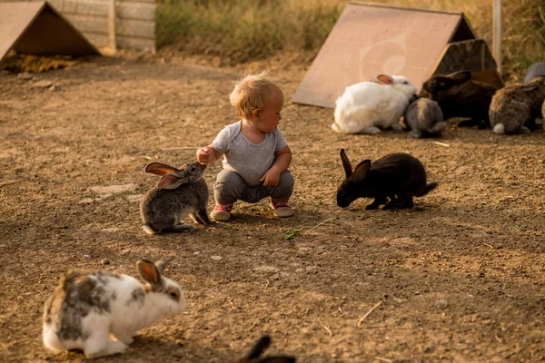 Küçük şirin çocuk parkta tavşanla oynuyor. — Stok fotoğraf