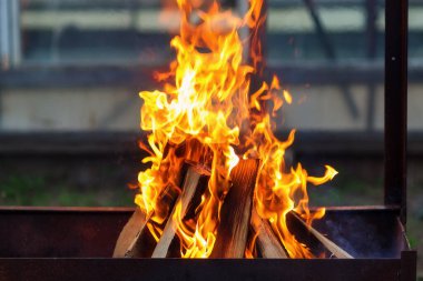 Barbekü için ateşte yanan kömür.