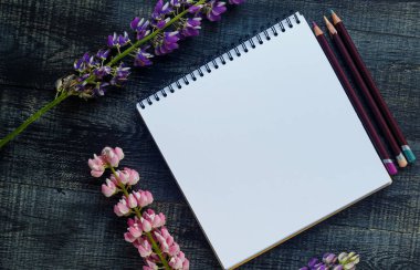 natürmort, sanat, ofis malzemeleri veya eğitim konsepti: Üst görünüm açık defter 