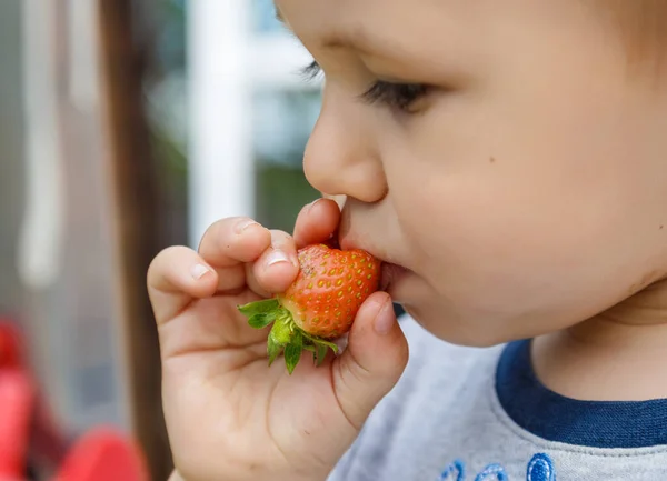 Cute happy boy eating strawberry, outdoor in garden — Stock Photo, Image