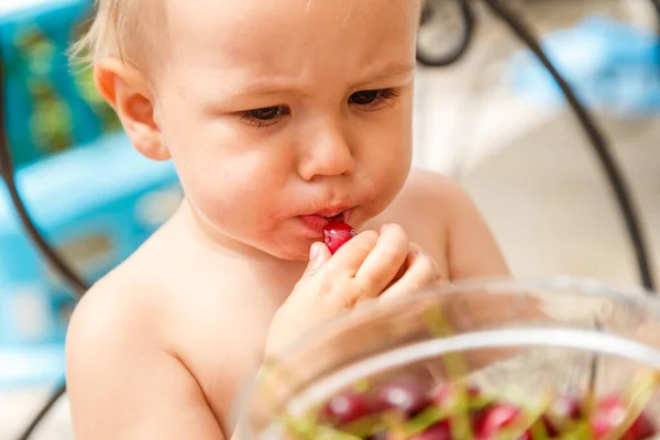 Carino felice ragazzo mangiare dolce ciliegia all'aperto in giardino — Foto Stock