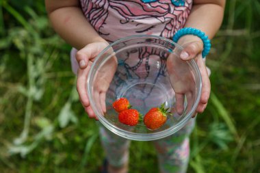 Kızarmış çilekli tabak tutan genç kız.