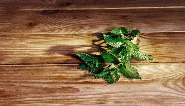 Manojo de menta fresca en la mesa de madera Interior, medicina — Foto de Stock