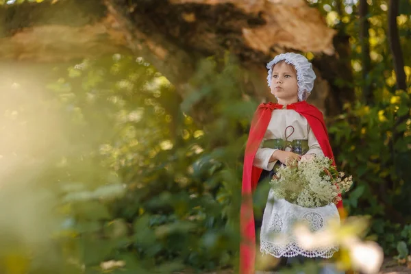 Retrato de una niña en un disfraz de cuento de hadas de una gorra roja con una cesta — Foto de Stock