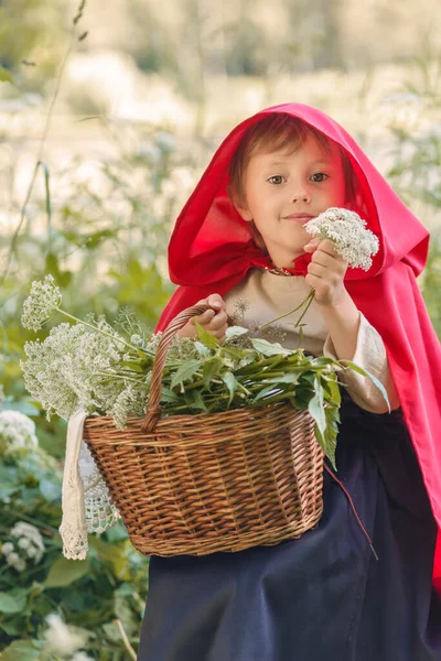 Retrato de una niña en un disfraz de cuento de hadas de una gorra roja con una cesta — Foto de Stock