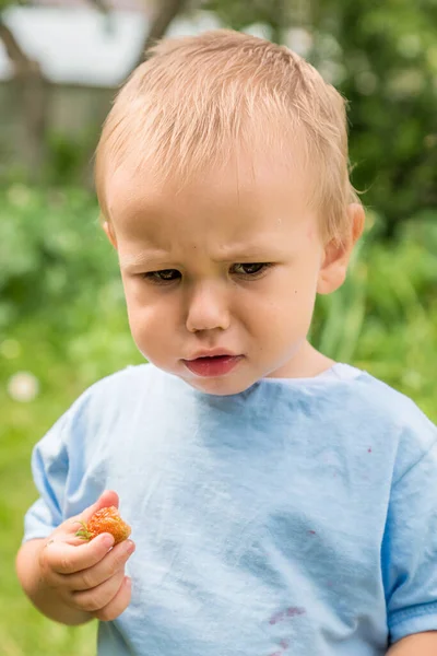 Ritratto di un ragazzo che mangia fragole rosse mature in giardino dal giardino — Foto Stock