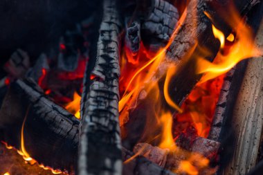 Barbekü için ateşte yanan kömür.