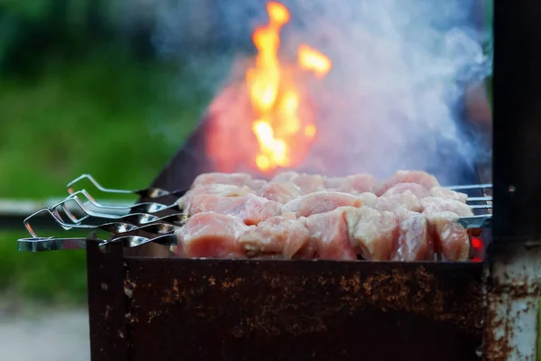 Appetizing carne crua shish kebab prepare-se em um cacau de madeira de grelha — Fotografia de Stock