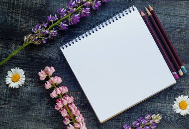 natürmort, sanat, ofis malzemeleri veya eğitim konsepti: Defterin üst görünümü