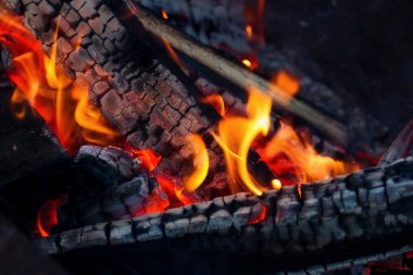 Barbekü için ateşte yanan kömür.