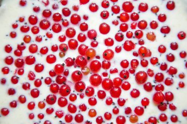 Ev yapımı meyveli turta kırmızı frenk üzümü ve fırına göndermeden önce ekşi kremalı turta. Yemek pişirme aşaması. Üst görünümü kapat.