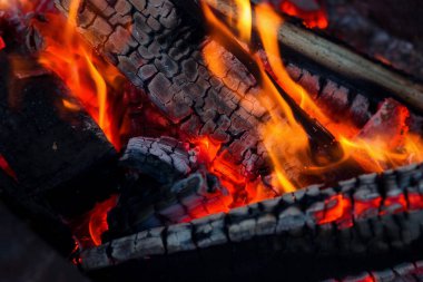 Barbekü için ateşte kömür yakmak. Kızgın közler.