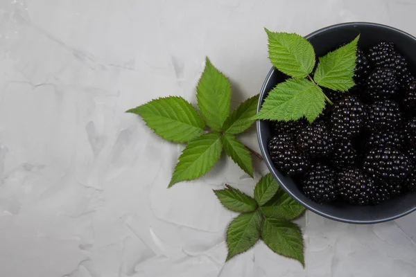 Ripe sweet blackberry on gray concrete background. Copy space — Stock Photo, Image