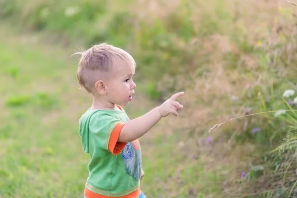 Pojken Visar Fingret Riktning När Han Står Grön Gräsmatta Stockbild