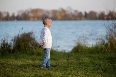 .Kısa saçlı, beyaz örgü kazaklı bir kız göle doğru bakıyor, altın sonbahar Hint yazı.