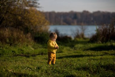 .Küçük çocuk elindeki çimenleri sonbahar ormanı ve gölün arka planıyla karşılaştırıyor. Altın sonbahar, Hint Yazı