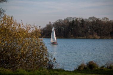 Balashikha, Rusya - 16 Ekim 2019: Bir sonbahar ormanı arka planında bir yelkenli yatı yüzüyor