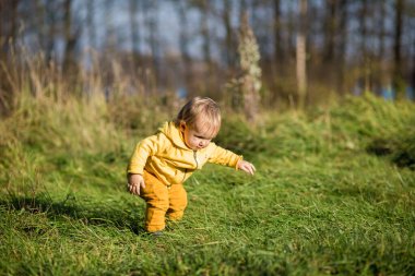 .Sarı ceketli yeni yürümeye başlayan çocuk Hindistan yazında, sonbahar parkında yürümeyi öğreniyor..