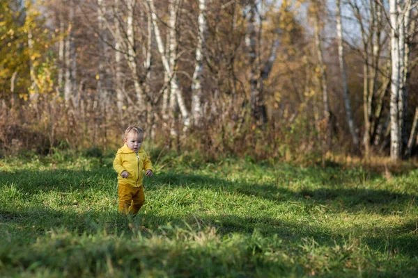 Menino Pequeno Aprende Andar Contra Fundo Floresta Outono Outono Dourado — Fotografia de Stock
