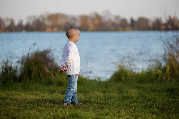 .Kısa saçlı, beyaz örgü kazaklı bir kız göle doğru bakıyor, altın sonbahar Hint yazı.