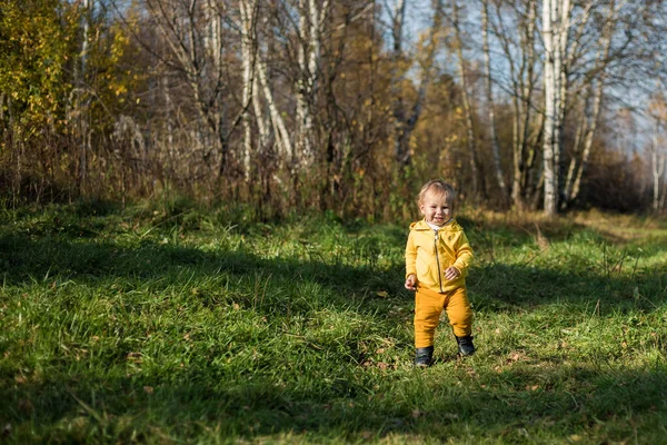 .Küçük çocuk sonbahar ormanının arka planında yürümeyi öğreniyor. Altın sonbahar, Hint Yazı.